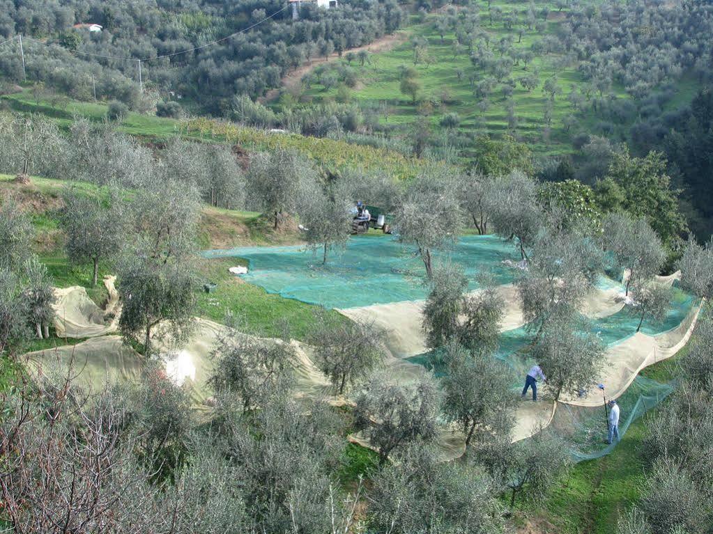 B&B Hotel La Piana Борго-а-Буджано Экстерьер фото